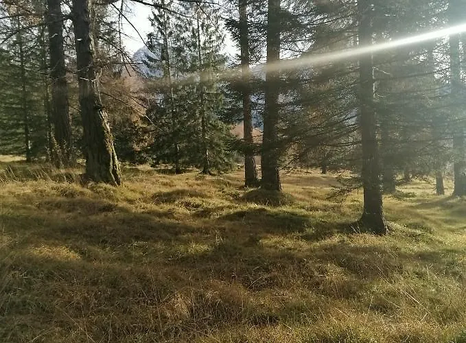 Leitner アパート *