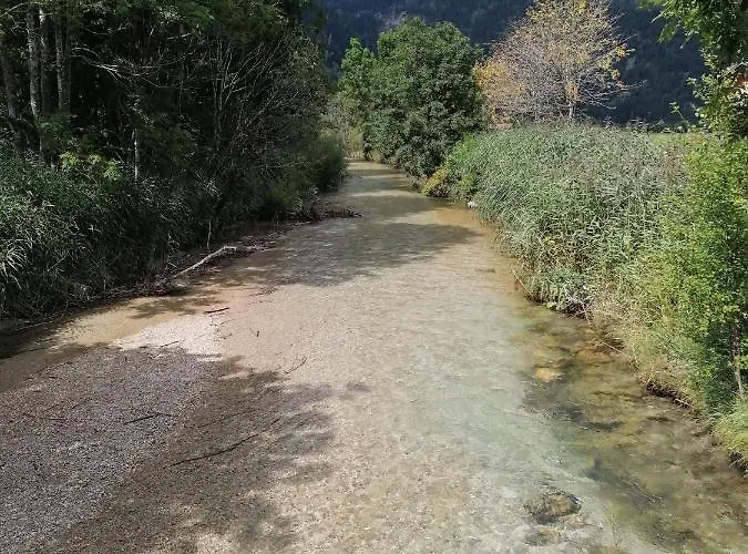 Leitner * レルモース