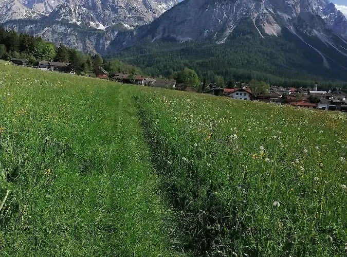 Leitner レルモース