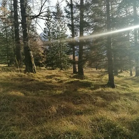 Apart Leitner Lägenhet *