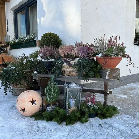 Leitner Apartment Lermoos